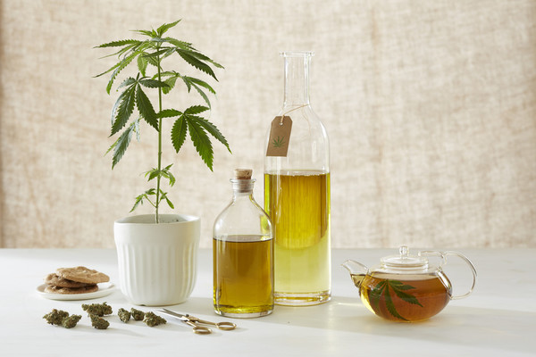 An industry report said that the Korean government might ease regulations on hemp with less than 0.3 percent THC.