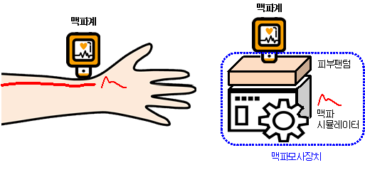 The graphic shows a pulse wave simulation device comprised of the skin phantom and pulse simulator (as shown on the right), which similarly mimics human wrist pulsation (shown on the left).