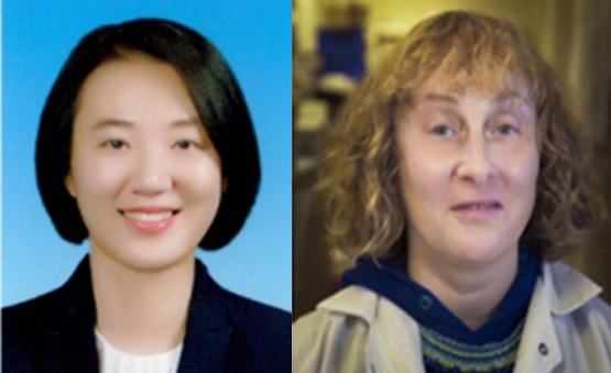 Professor Jeon Ok-hee (left) at Korea University College of Medicine and Professor Irina Conboy at the University of California, Berkeley