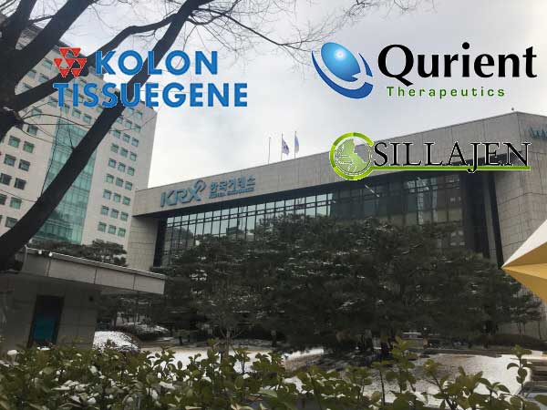 The Korea Exchange will decide whether to delist  Kolon Tissugene, SillaJen, Qurient in October