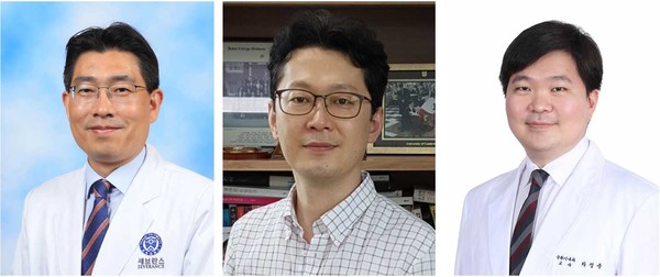A team of researchers, led (from left) by Professors Kim Jung-sun of Severance Hospital, Cha Jung-joon of Korea University Anam Hospital, and Ha Jin-yong of Sejong University, has developed a new machine learning-based cardiovascular disease diagnosis technology  (Severance)