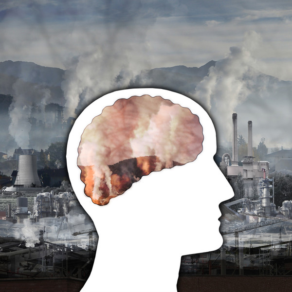 Air pollutants can make the volume of the brain thinner and cause cognitive decline, researchers say.