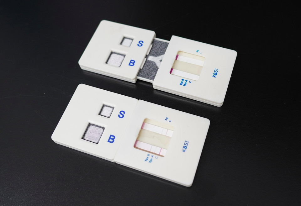 The Korea Basic Science Institute said its researchers have developed a fast test kit that detects antibiotic-resistant super bacteria, Clostridioides Difficile. (KBSI)