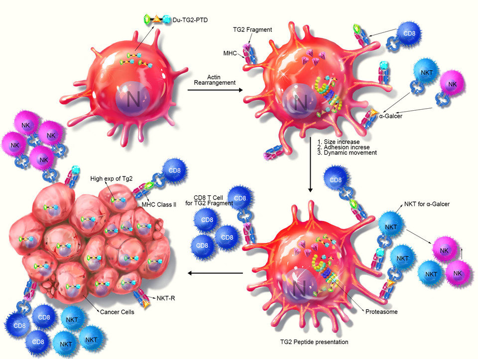 The graphic shows how new-generation anticancer cell treatment works.