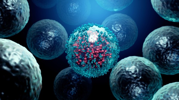 A joint research team -- led by Professors Shin Eui-chul at Korea Advanced Institute of Science and Technology Graduate School of Medical Science and Engineering, Choi Won-seok at Korean University Ansan Hospital, and Jung Hye-won at Chungbuk National University Hospital -- has found that Covid-19 immune cells maintain function even after 10 months.