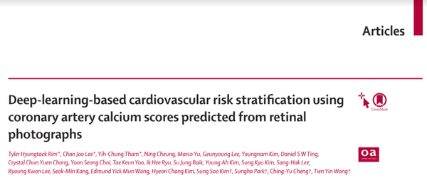 A joint research team led by Severance Hospital has developed an algorithm that predicts the risk of new cardiovascular diseases by observing changes in blood vessels in the retina images.