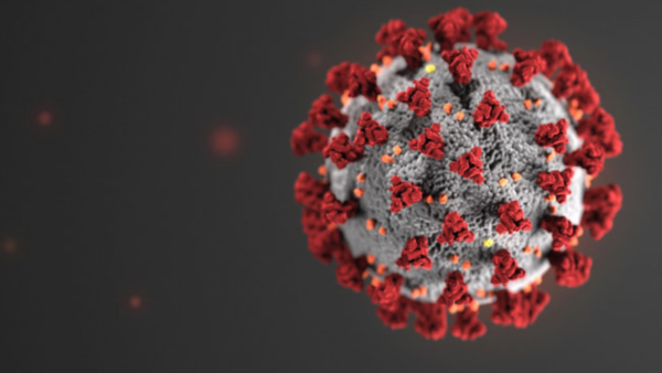 A study published in BMJ Global Health expected the possibility of eradicating Covid-19 would be somewhere between those of polio and smallpox.