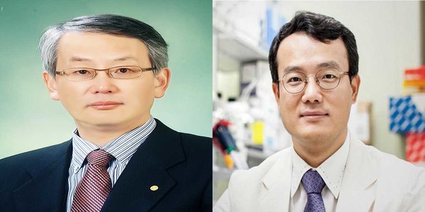 A joint research team, led by Dr. Kim In-san (left), head of the KIST's Theragnosis Research Center, and Professor Cho Yong-beom of Samsung Medical Center, has found that statin can treat KRAS mutant cancers.