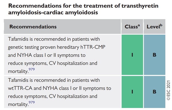 (Source: 2021 European Society of Cardiology guidelines for the diagnosis and treatment of acute and chronic heart failure)