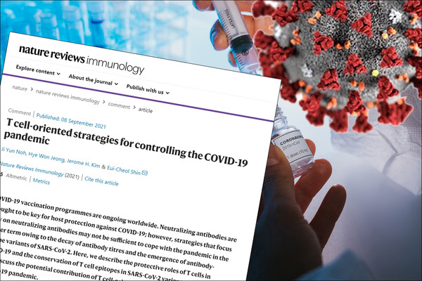 Researchers said strategies focusing on T cell responses could help overcome the Covid-19 pandemic in a contribution article, “T cell-oriented strategies for controlling the COVID-19 pandemic,” in the online edition of Nature Reviews Immunology.