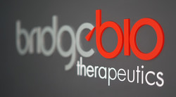 Bridge Biotherapeutics has unveiled the preclinical data for BBT-176, a non-small cell lung cancer treatment, during the 2021 European Society for Medical Oncology Congress.
