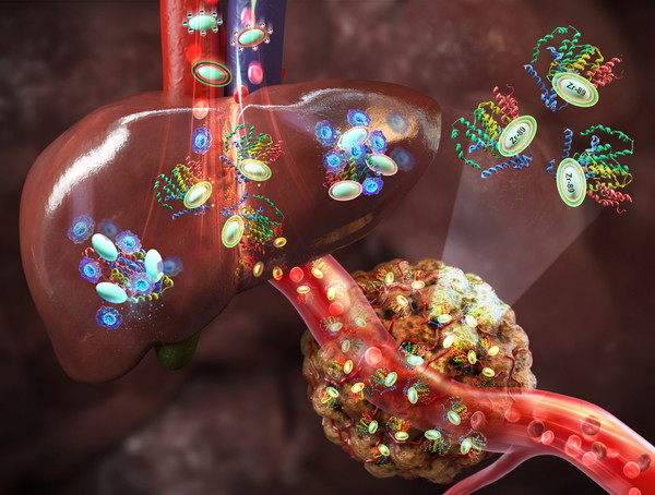 A KAERI research team has developed a nanomaterial that can be used as a nanomedicine delivering vaccine and anticancer drugs without accumulating in the liver.