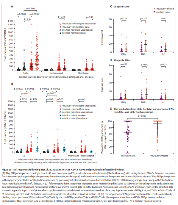 (Source: The Lancet, “T-cell and antibody responses to first BNT162b2 vaccine dose in previously infected and SARS-CoV-2-naive UK health-care workers: a multicentre prospective cohort study”)
