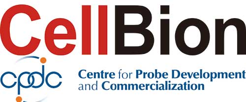 CellBion aims to enter the North American market with a Lu-177-radiolabelled prostate-specific membrane antigen (PSMA-DGUL) therapeutic agent by cooperating with Canada’s Centre for Probe Development and Commercialization.