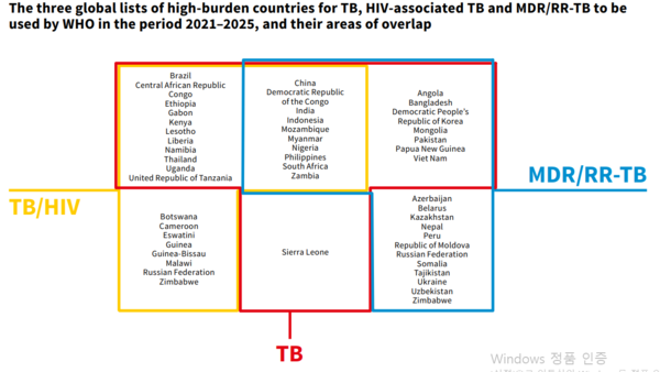 (Source: Global Tuberculosis Report 2022)