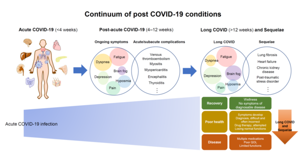 Conceptual diagram showing the progression of acute Covid-19 symptoms into chronic Covid-19 symptoms (Credit: The Korean Society of Infectious Diseases).