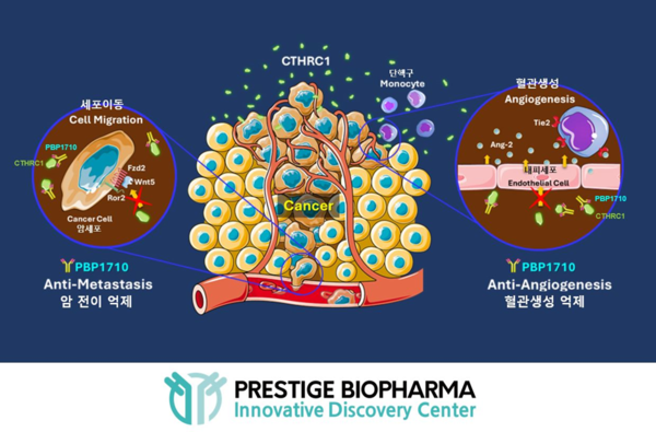 The diagram shows the mechanism of action of the CTHRC -1 protein in promoting angiogenesis and the subsequent anti-metastasis and anti-angiogenesis mechanisms of Prestige Biopharm's PBP1710 antibody-drug candidate.
