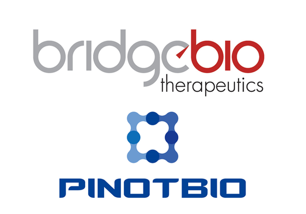 Bridge Biotherapeutics said on Thursday that it signed a memorandum of understanding (MOU) with Pinotbio to derive new therapeutic cancer candidates for cancer using antibody-drug conjugate (ADC) platform technology.
