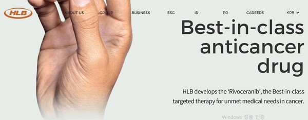 The HLB Group’s website