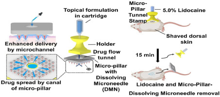 The diagram shows the design of Juvic's micropillar tunnel stamp and its applications in animal studies.