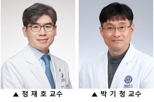 Professors Cheong 
