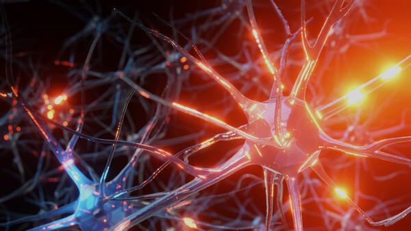  A team of researchers from the Institute for Basic Science (IBS) identified a new pathogenesis and treatment strategy for autistic patients with epilepsy lacking the Ank2 gene. (Credit: Getty Images)
