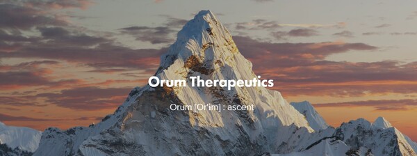 Orum Therapeutics transferred all rights pertaining to ORM-6151 to Bristol Myers Squibb. (credit: Orum Therapeutics)