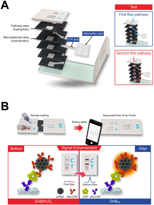 Schematic presentation of the pPtNZ-SlipChip. (A) The SlipChip comprises five hydrophobic NC paper layers for sequential fluidic flow. (B) CRP immunoassay on the SlipChip. (Source: Biosensors and Bioelectronics)