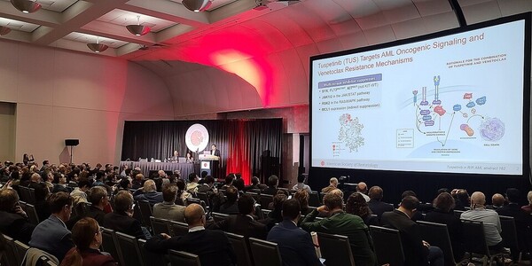 Dr. Naval G. Daver, professor of medicine at MD Anderson Cancer Center, presented clinical data on Hanmi Pharm's breakthrough drug tuspetinib for treating acute myeloid leukemia (AML) at the annual meeting of the American Society of Hematology (ASH) in San Diego, Calif., on Saturday (local time).