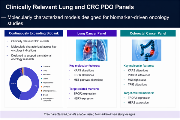[AACR 2026] Samsung Biologics uses organoids to narrow preclinical ...