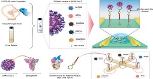 Korean researchers develop biosensor system quickly detecting traces of ...