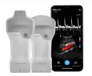 GE HealthCare Korea launches Vscan Air PT app for virtual ultrasound training < Device/ICT < Article