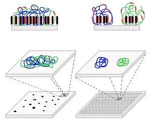 MGI Tech celebrates 10 years of DNBSEQ™ technology: driving genomics ...