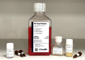 FromBIO develops serum-free culture medium FB-2, speeds path to commercialization